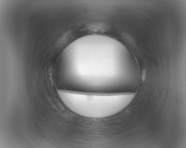 X0000082721396200701261017