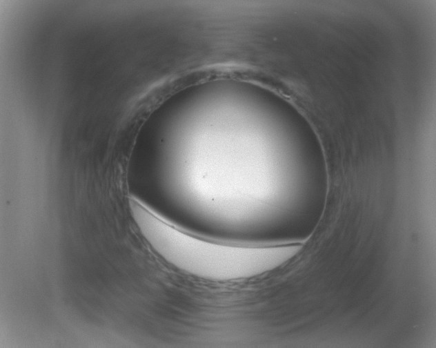 X0000082721398200701261018