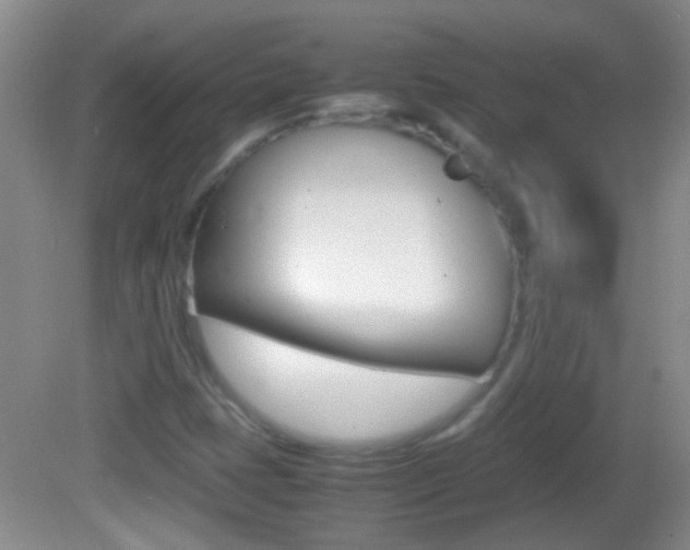 X0000082721401200701261018