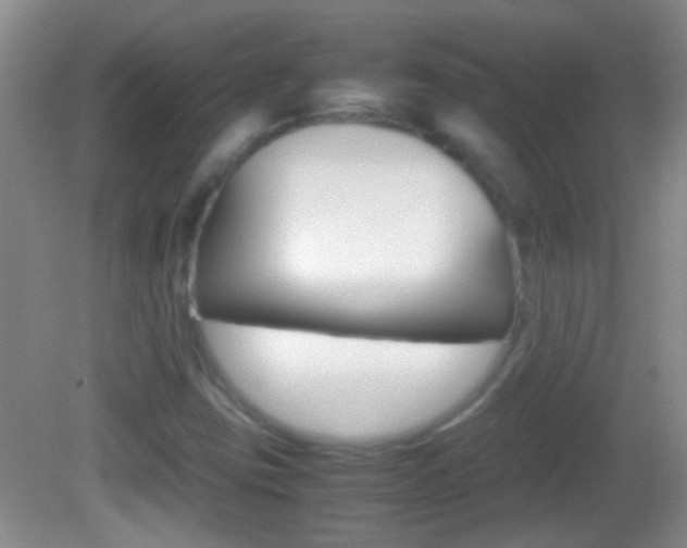 X0000082721403200701261018