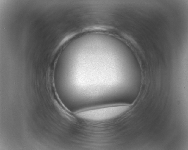 X0000082721404200701261018