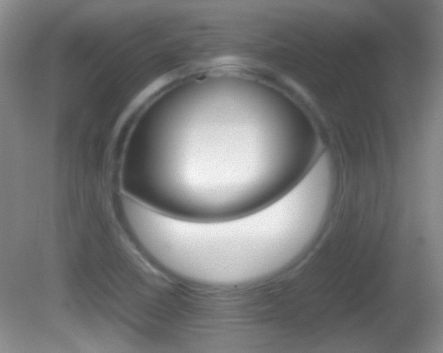 X0000082721410200701261018