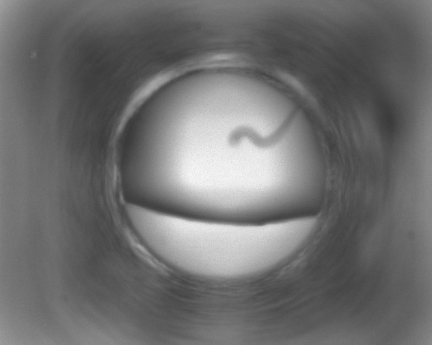 X0000082721413200701261018