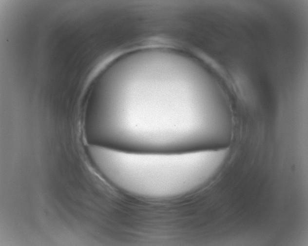 X0000082721415200701261018