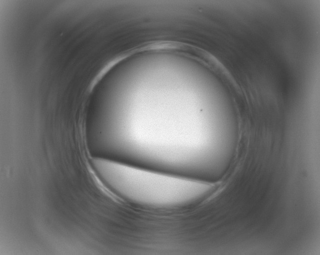 X0000082721417200701261018
