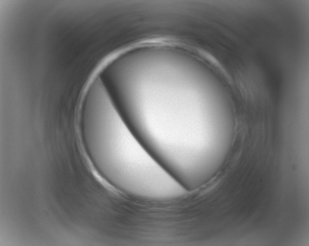 X0000082721421200701261018