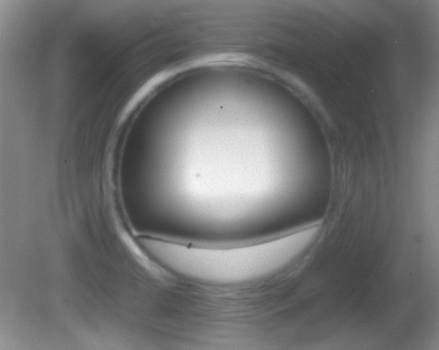 X0000082721422200701261018