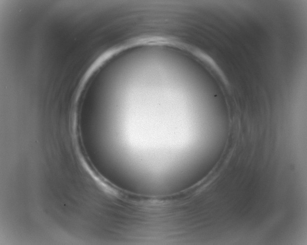 X0000082721424200701261018