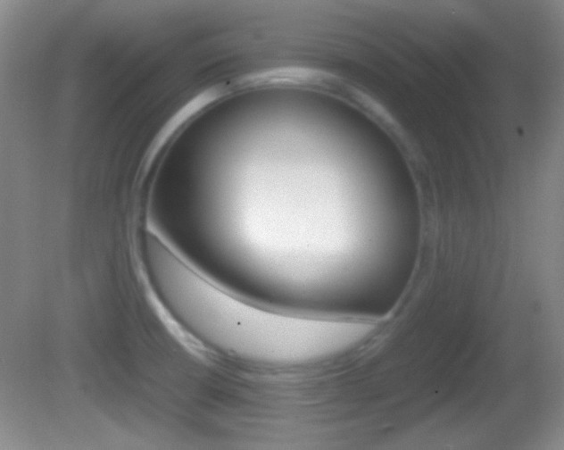 X0000082721426200701261018