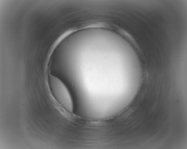 X0000082721427200701261018