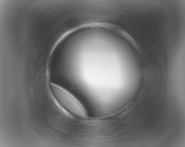 X0000082721428200701261018