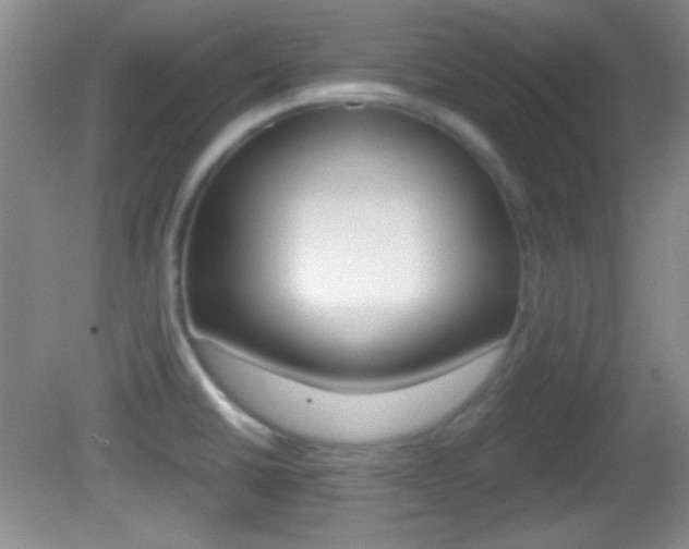 X0000082721430200701261018