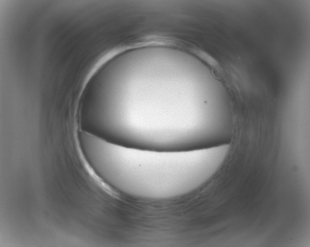 X0000082721431200701261018