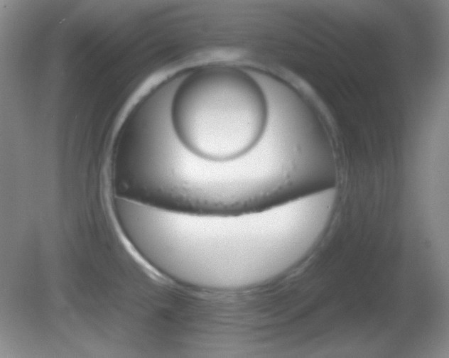 X0000082721432200701261018