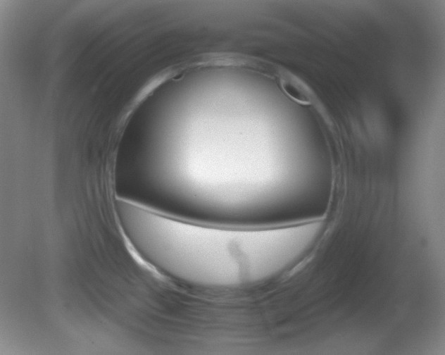 X0000082721433200701261018