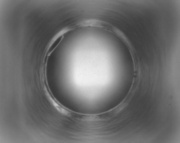 X0000082721434200701261018