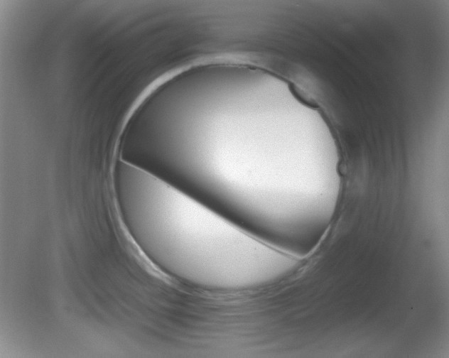 X0000082721436200701261018