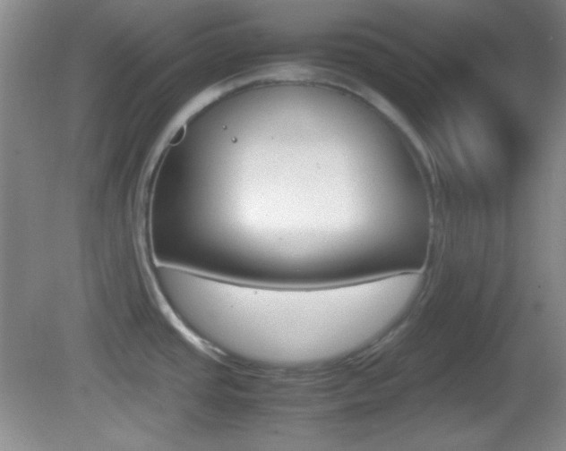 X0000082721437200701261018