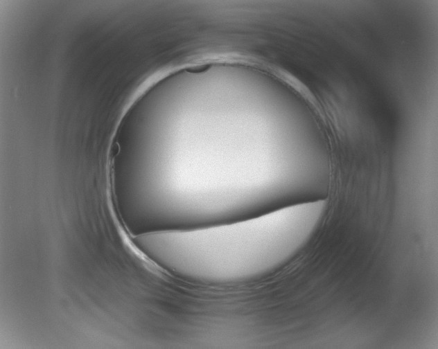 X0000082721439200701261018