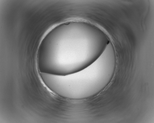 X0000082721440200701261018