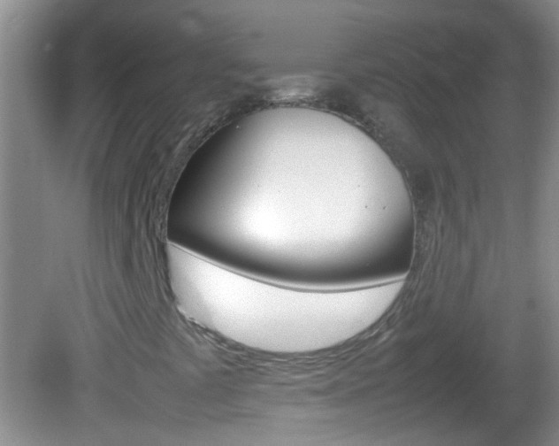 X0000082721441200701261017
