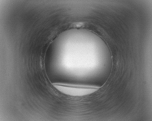 X0000082721442200701261017