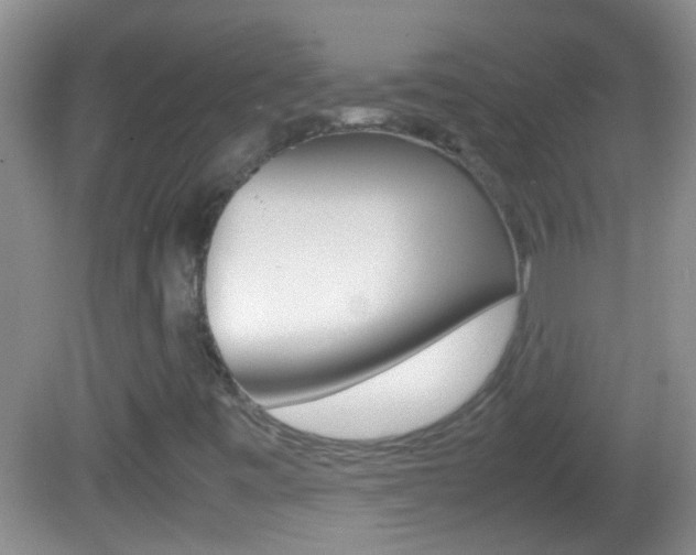 X0000082721443200701261017