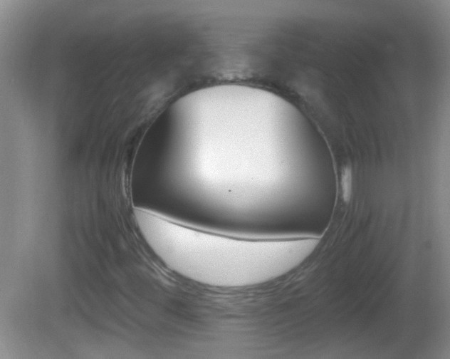 X0000082721444200701261017