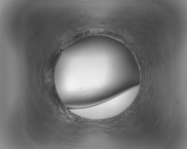 X0000082721445200701261017