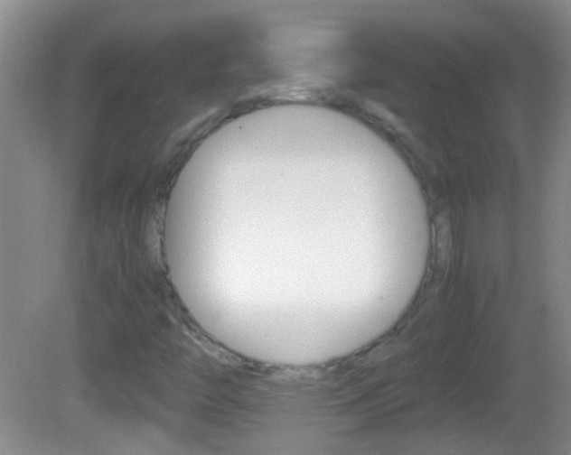 X0000082721446200701261017
