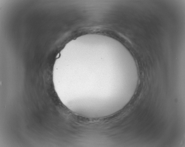 X0000082721447200701261017