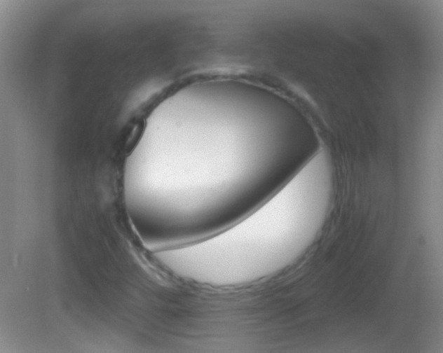 X0000082721448200701261017