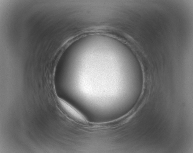 X0000082721449200701261017