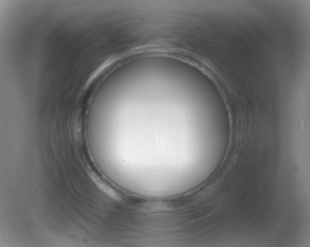 X0000082721450200701261017