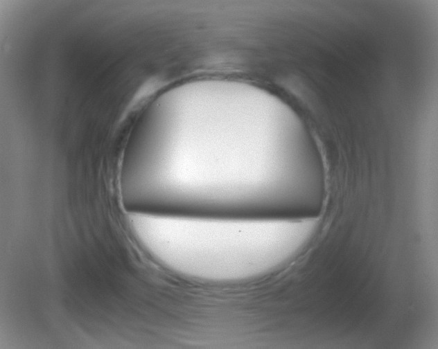 X0000082721451200701261017