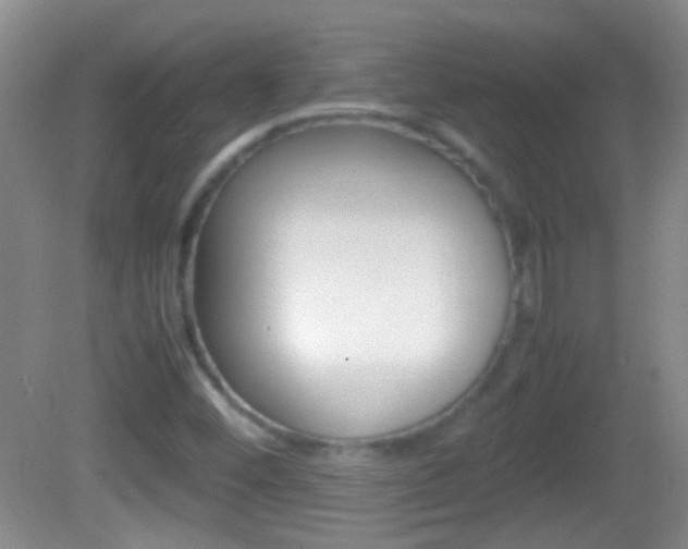 X0000082721452200701261017