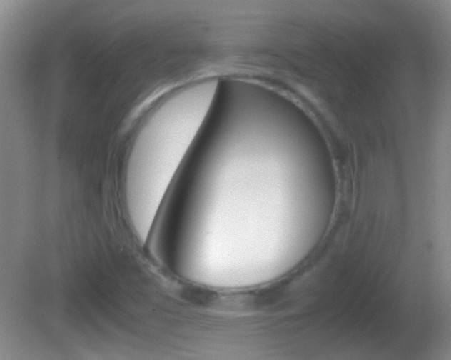 X0000082721453200701261017