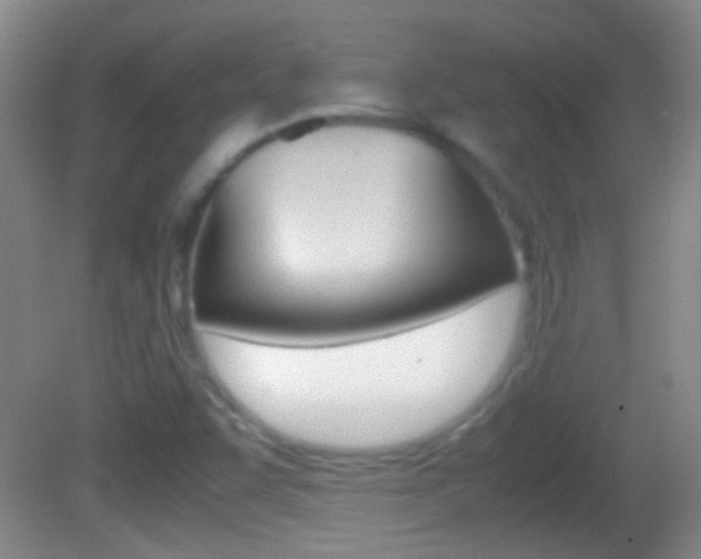 X0000082721455200701261017