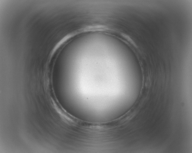 X0000082721458200701261017