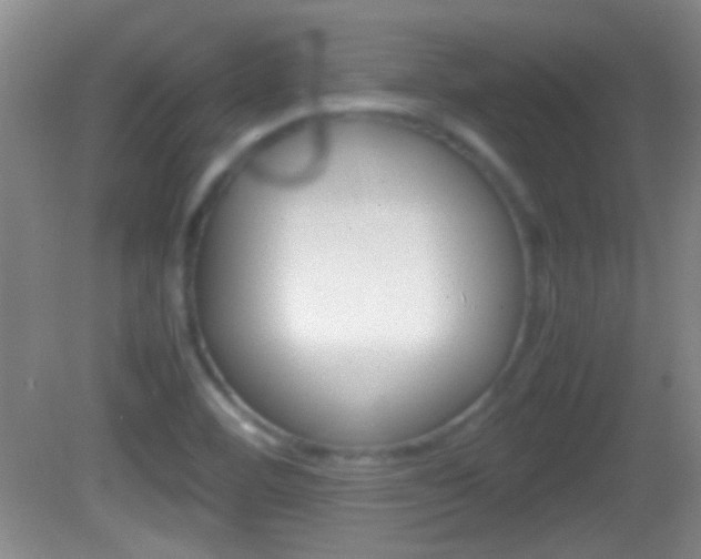 X0000082721460200701261017