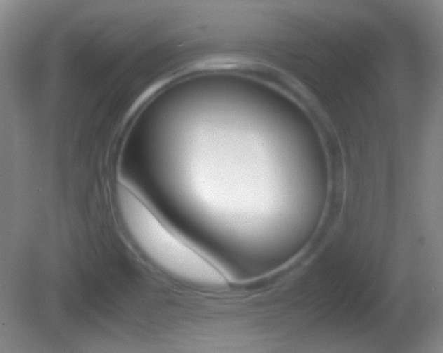 X0000082721465200701261017