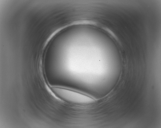 X0000082721468200701261017