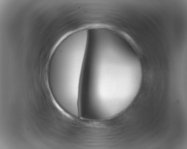 X0000082721476200701261017