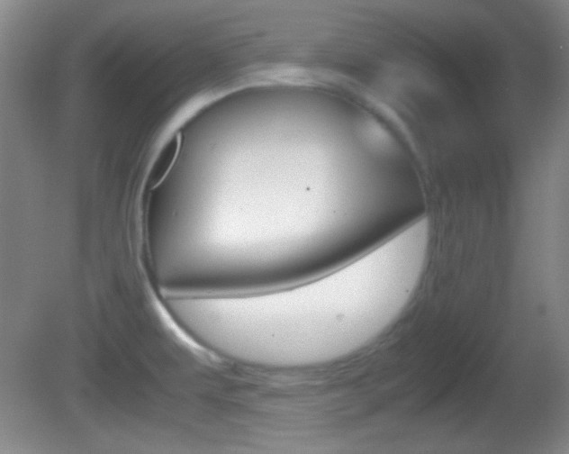 X0000082721479200701261017
