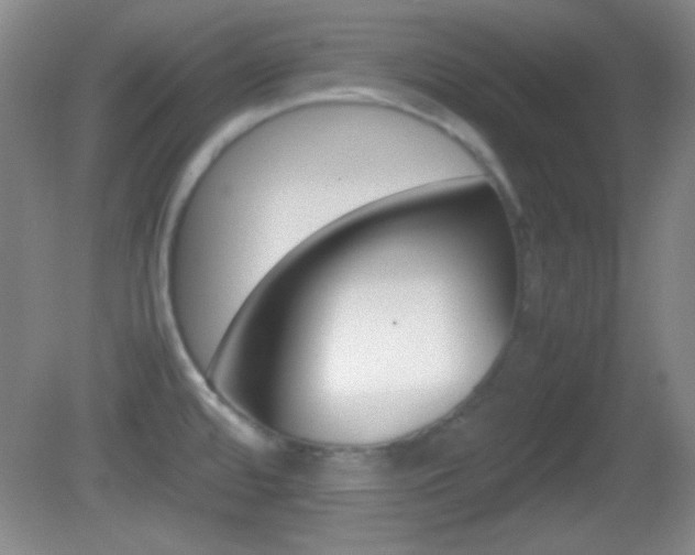 X0000082721480200701261017