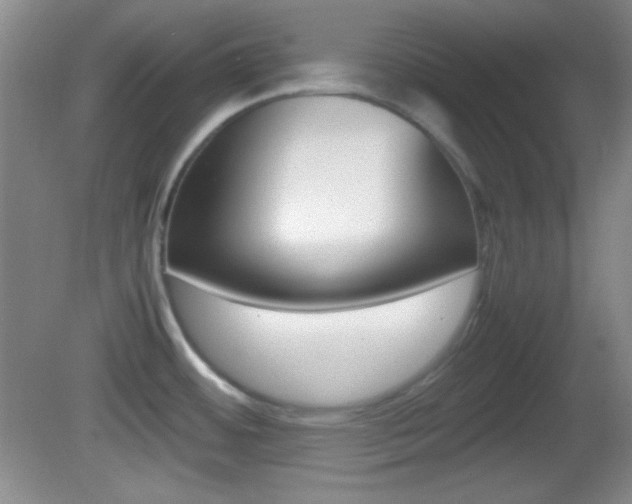 X0000082721484200701261017