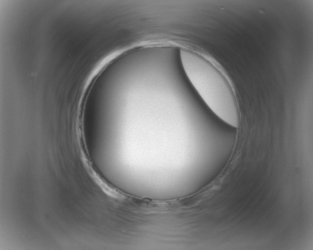 X0000082721485200701261017
