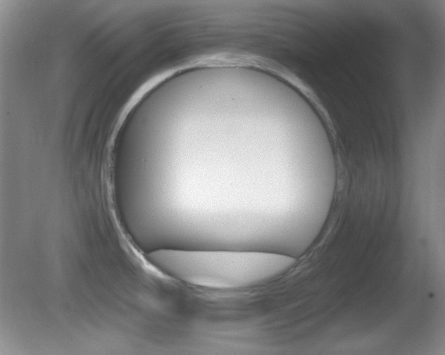 X0000082721486200701261017