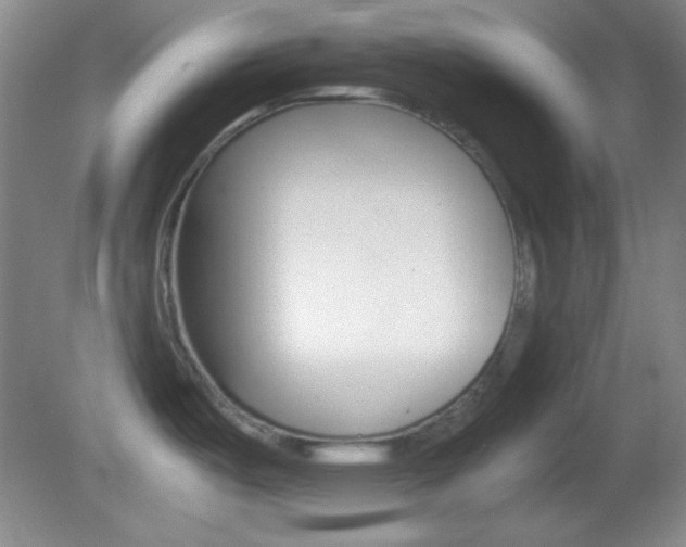 X0000082721487200701261017