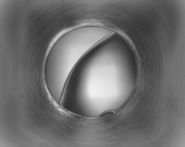 X0000082721488200701261017